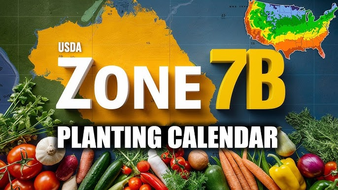 Zone 8b Planting Schedule: Exact Dates for Every Season